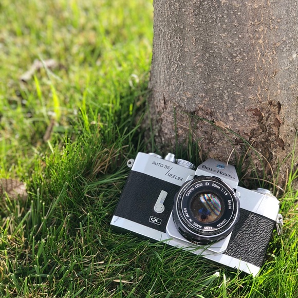 Meet your Posher, Liam - Picture 1 of 1